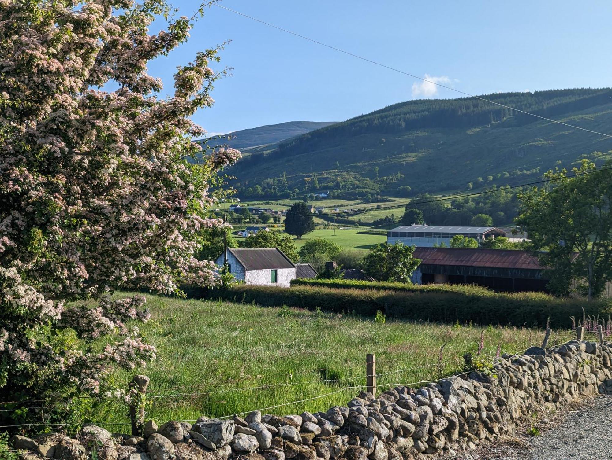 Killeavy Cottage Meigh Exterior foto