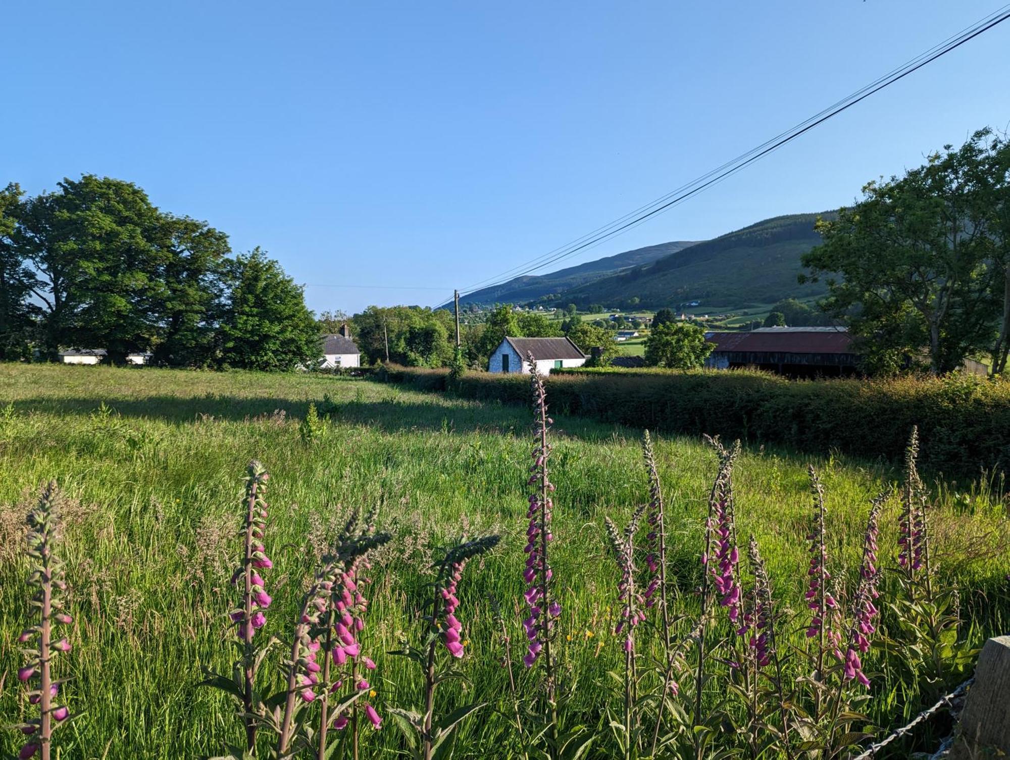 Killeavy Cottage Meigh Exterior foto